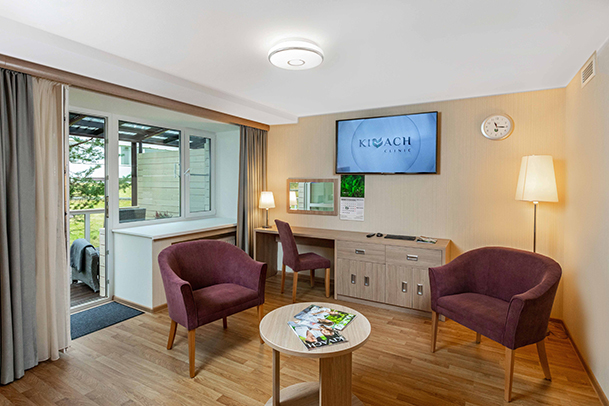 Гостиная с террасой